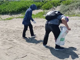 近海淨海活動成果